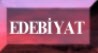 edebiyat.jpg (2615 bytes)
