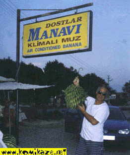 klimalimuz.jpg (11931 bytes)