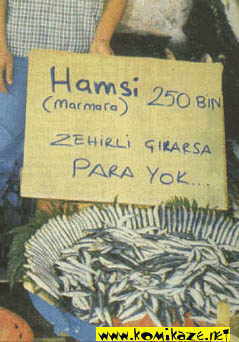 zehirlihamsi.jpg (15001 bytes)